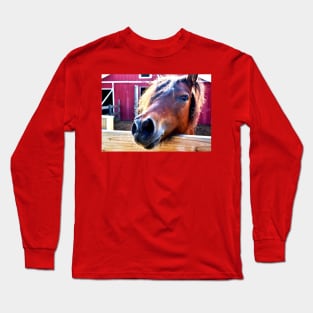 Pony Long Sleeve T-Shirt